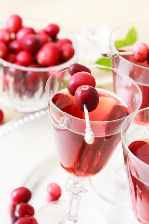 Cranberry juice with fresh cranberries in an elegant glassの写真素材
