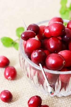 Fresh cranberries in a glass containerの写真素材