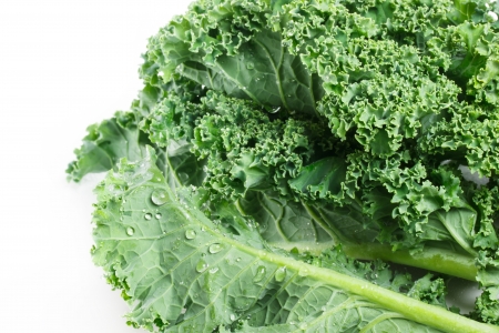 Fresh kale with morning dew isolated on a white backgroundの写真素材