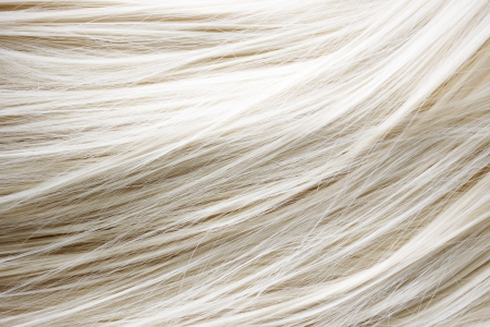 Healthy blonde hair - close up imageの写真素材