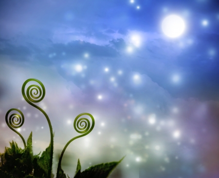 Three plant tendrils on night fantasy の写真素材