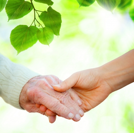 Holding hands with senior over green leaves の写真素材