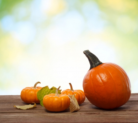 Pumpkins and squashes on rustic wooden boardsの写真素材