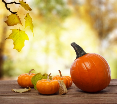 Pumpkins and squashes on rustic wooden boards with an shinning autumn backdropの写真素材
