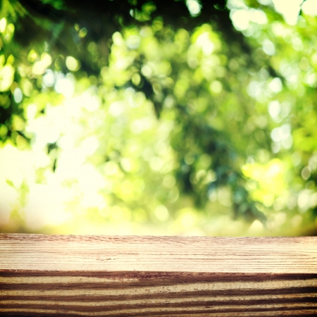 Rustic wooden boards in green leaves over shiny lights  の写真素材