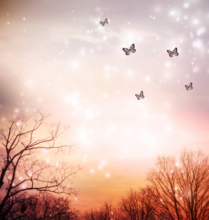 Small butterflies over the trees in the red sky backgroundの写真素材