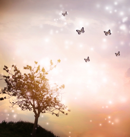 Tree silhouette with small butterflies in twilightの写真素材