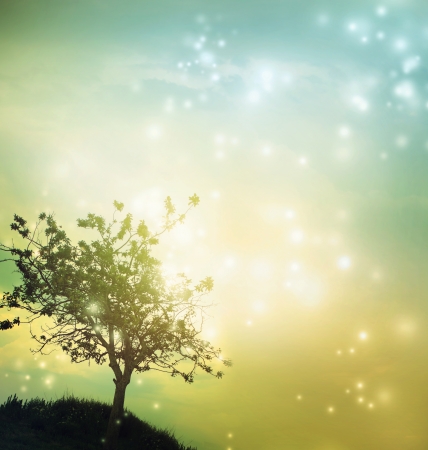 Tree silhouette at green yellow colored twilightの写真素材