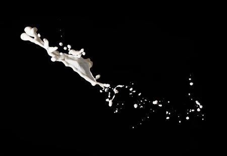 Milk splash isolated on a black backgroundの写真素材