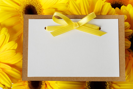 Blank message card with beautiful yellow gerberasの写真素材