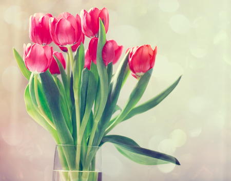Beautiful red tulips in vase in vintage styleの写真素材