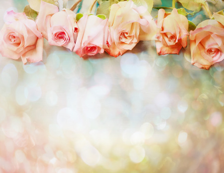 Beautiful pink roses in a vintage styleの写真素材