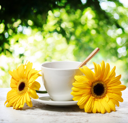 Coffee cup with yellow gerberas over shiny tree leaves backgroundの写真素材