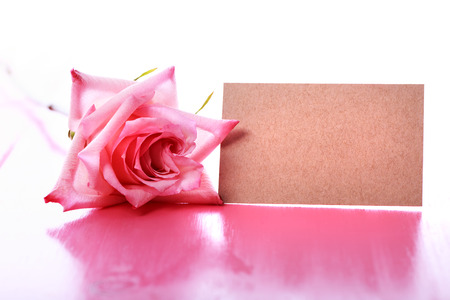 Pink rose with blank message card on pink wooden tableの写真素材