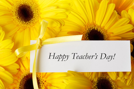 Happy Teachers Day message with yellow gerberasの写真素材