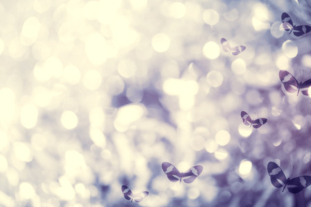 Purple colored butterflies and light abstract backgroundの写真素材
