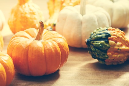 Autumn pumpkins and squashes on wooden tableの写真素材