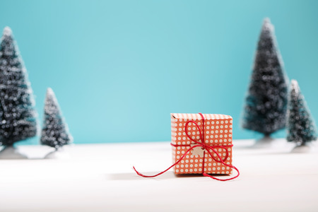 Little handmade gift box in a snow covered miniature evergreen forestの写真素材