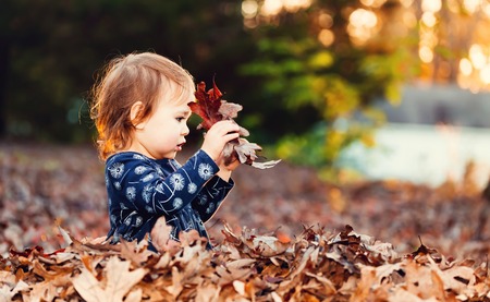 Toddler girl playing outside in a pile of autumn leaves at sunsetの写真素材