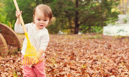 Toddler girl raking leaves in autumnの写真素材
