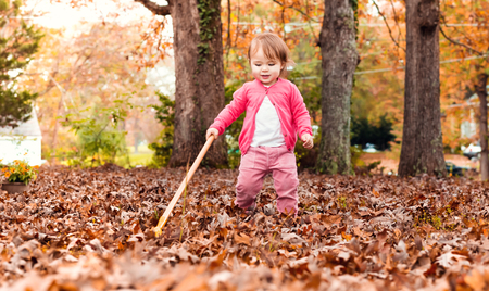 Toddler girl raking leaves in autumnの写真素材