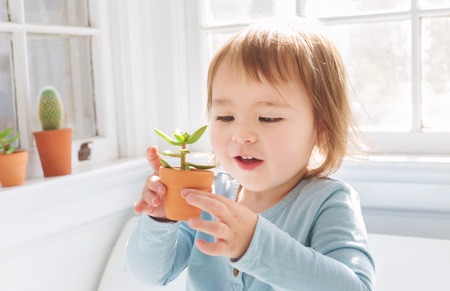 Happy toddler girl playing with little potted plants in her houseの写真素材