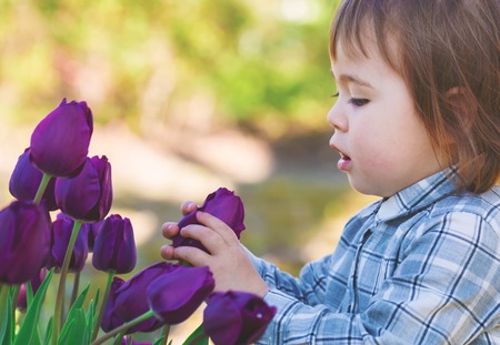 Toddler girl playing with purple tulips outside in springの写真素材