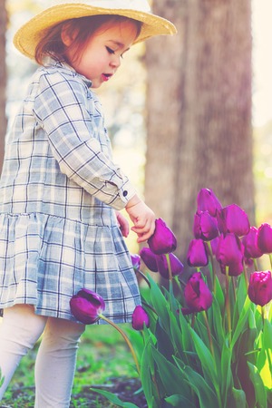 Happy toddler girl in a hat playing with purple tulips outside in springの写真素材