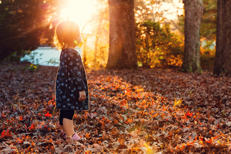 Toddler girl standing outside in the autumn leaves at sunsetの写真素材