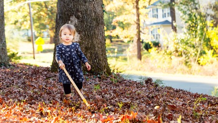 Toddler girl raking leaves in autumnの写真素材