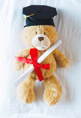 Brown teddy bear in graduation cap holding his diplomaの写真素材