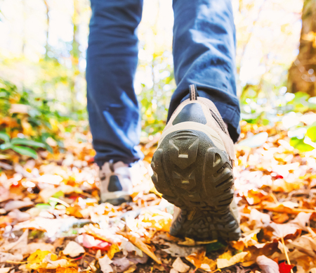 Man walking on a forest path in autumnの写真素材