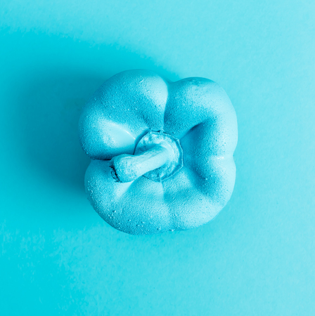 Painted pepper on a bright blue backgroundの写真素材