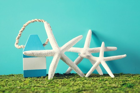 Summer ocean theme with starfish