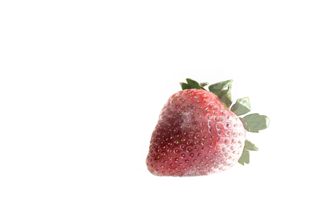 Sketch of a strawberry on a white backgroundの写真素材