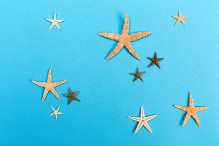 Assorted starfishes on a bright blue backgroundの写真素材