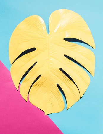 Painted tropical monstera leaf with hard shadow on a split color backgroundの写真素材