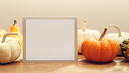 Autumn theme pumpkins on a rustic wooden backgroundの写真素材