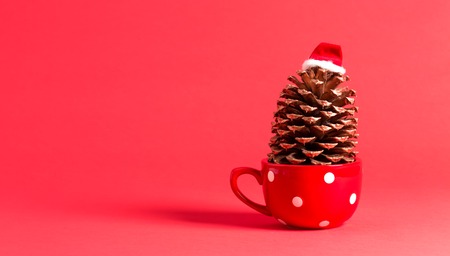 Christmas themed pinecone with santa hat on redの写真素材