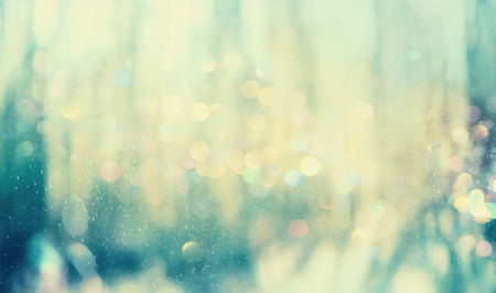 Beautiful abstract shiny light and glitter in a woods