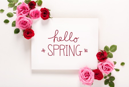 Hello Spring message with roses and leaves top view flat lay