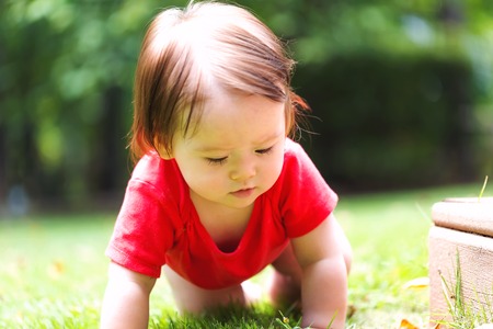 Happy baby boy in a red shirt crawling around outsideの写真素材