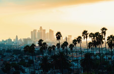 Downtown Los Angeles skyline at sunset with palm trees in the foregroundの写真素材