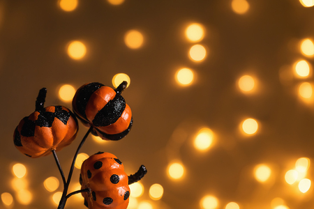 Halloween pumpkins on a shiny light backgroundの写真素材