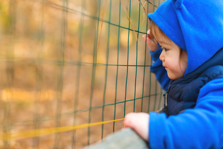 Toddler boy playing outside on an autumn dayの写真素材