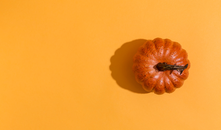 A autumn pumpkin on a orange backgroundの写真素材