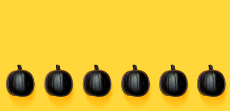 Black colored pumpkins on a bright yellow backgroundの写真素材