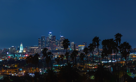 Aerial view of the Downtown LA skyline with palm trees in the foregroundの写真素材
