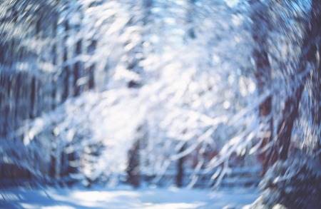 Blurred defocused snowy abstract winter forest backgroundの写真素材