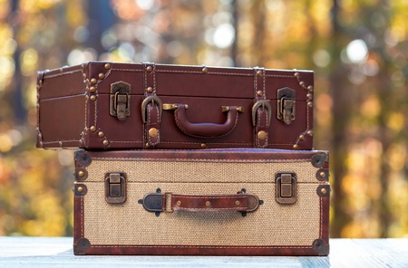 Suitcases on a fall forest background autumn travel themeの写真素材